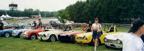 PartyCars2.jpg (79648 bytes)